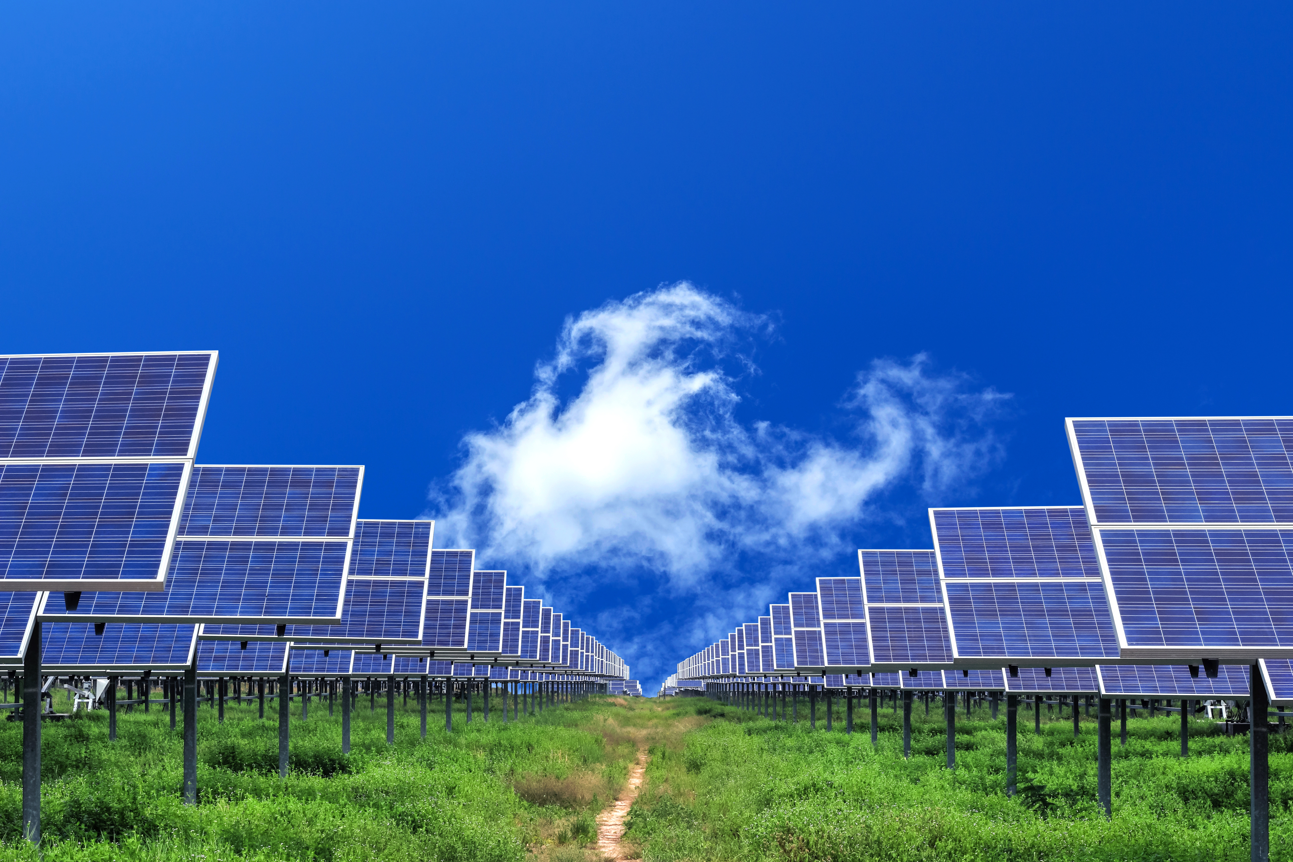 Solar energy growth to outstrip fossil fuels, nuclear power