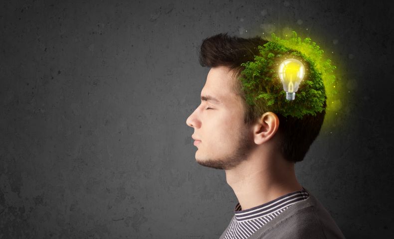 Solar teaches students to think outside the box for green solutions.
